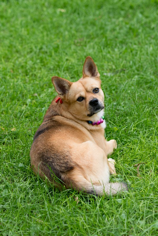 All Photos for River City Scoopers in Midlothian, VA