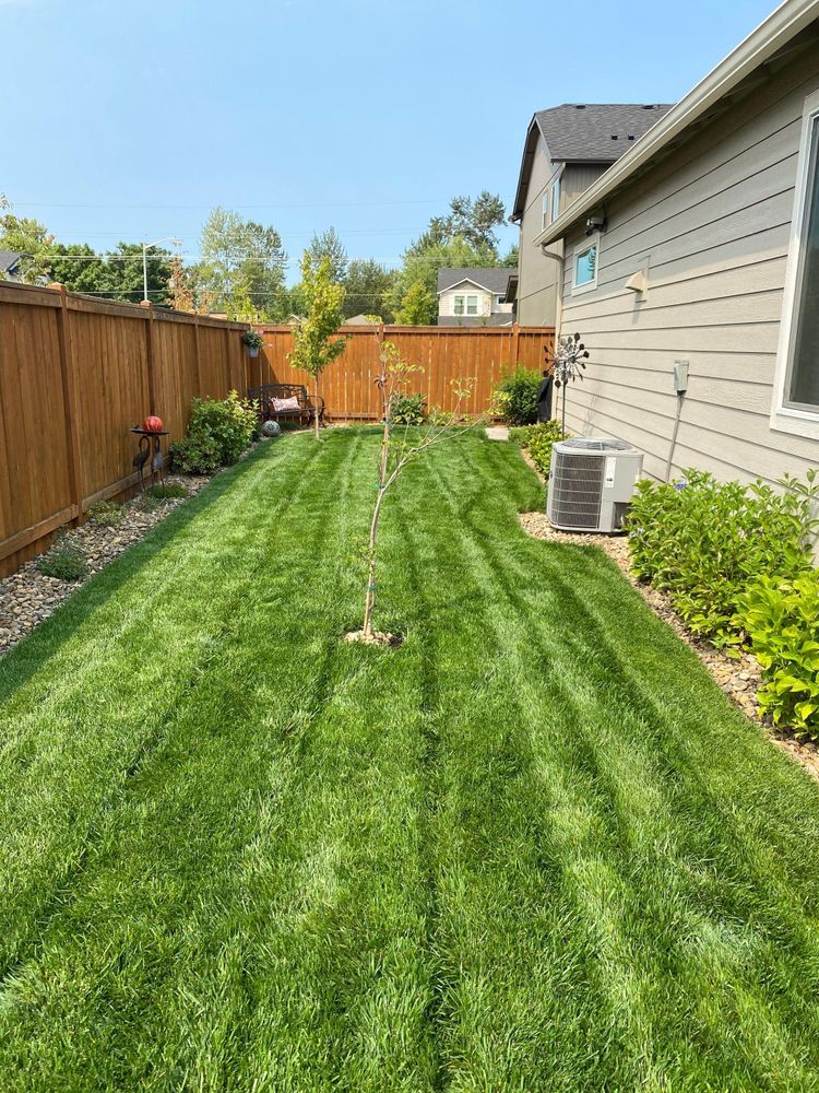 All Photos for Willamette Landscaping and Tree Services in Albany, OR