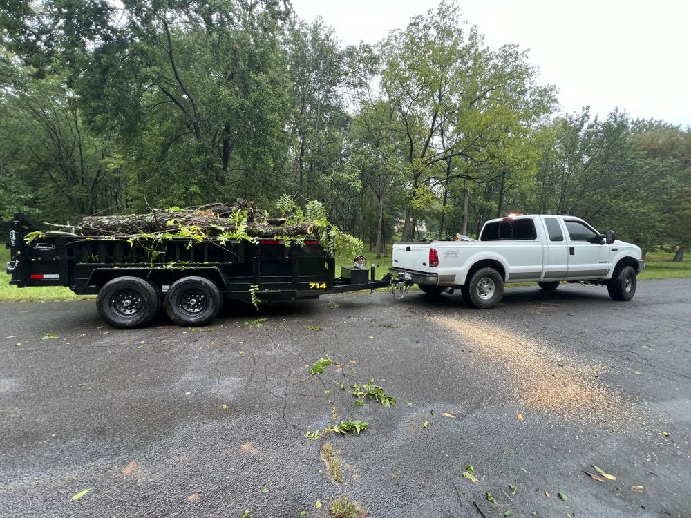 Our Tree Removal service ensures safe, efficient removal of unwanted or hazardous trees, enhancing your property's beauty and safety while employing environmentally responsible techniques to protect your landscape. for Ridgewood Lawn Care LLC in Fredericksburg, VA