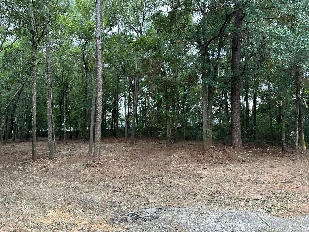 All Photos for White’s Land Maintenance in Milton,, FL