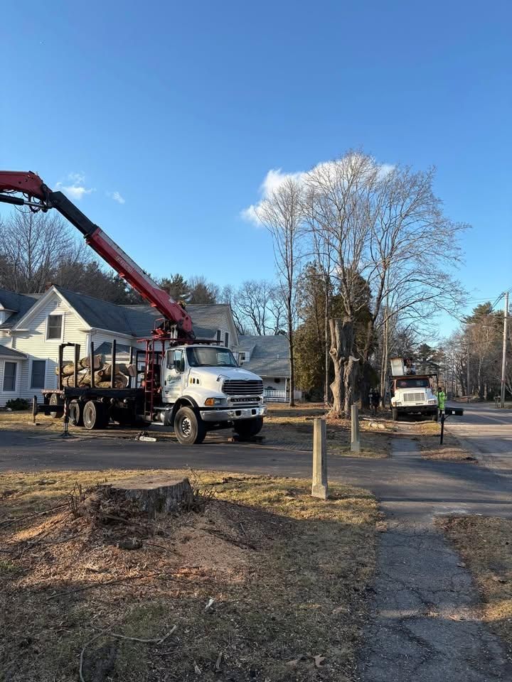 All Photos for Dwights Tree Service in Middleborough, MA