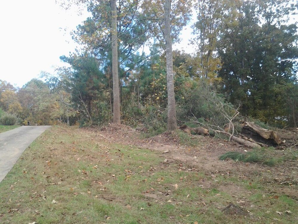 Tree Services for Wofford's Grading Clearing and Landscaping in Milton, GA