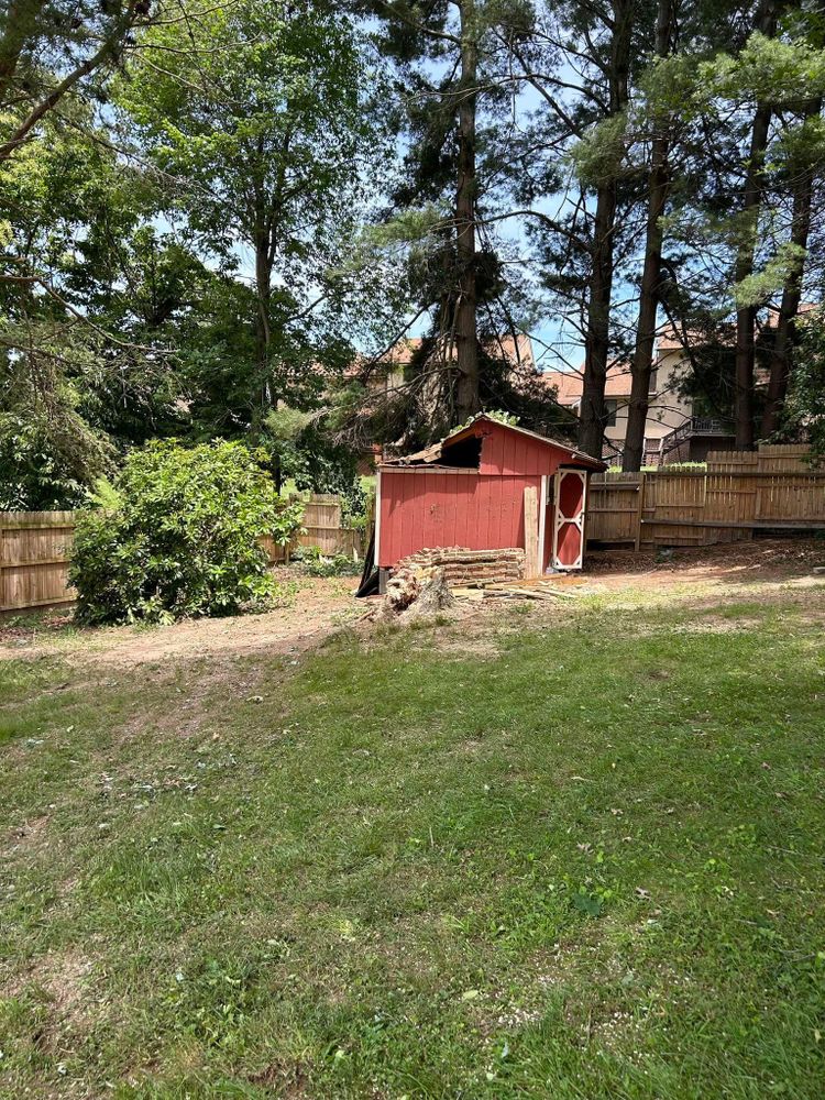 All Photos for NRV Tree Pro, LLC in Narrows, VA