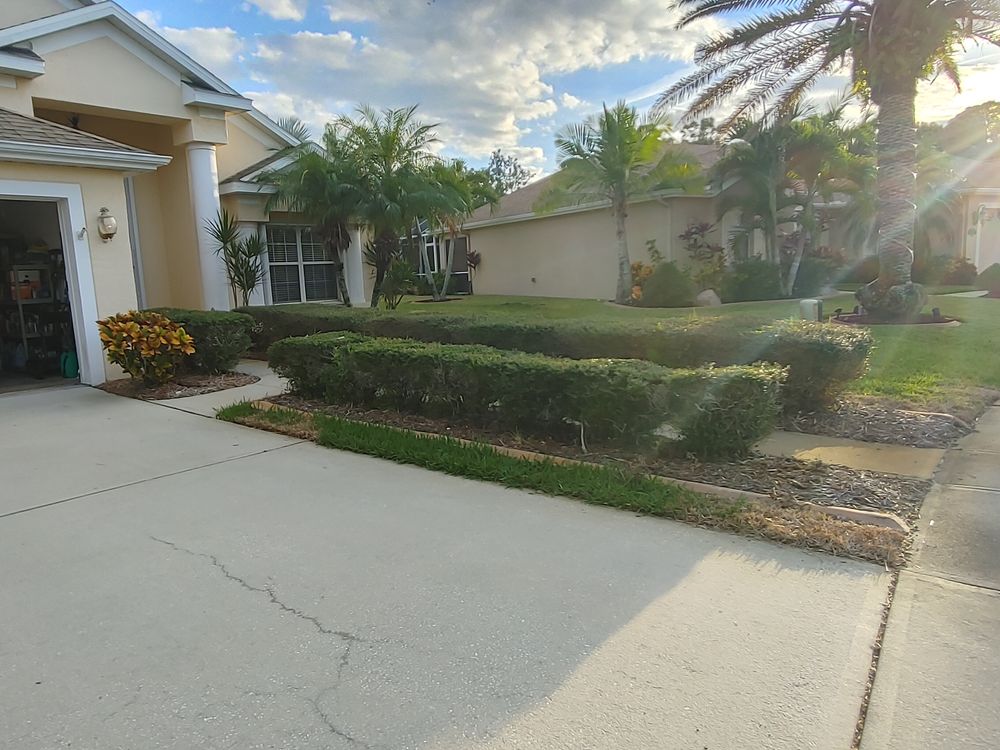 All Photos for Epic Vine Design in Melbourne, FL