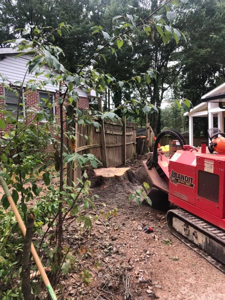 Our professional stump grinding service efficiently removes unsightly tree stumps, enhancing your landscape's beauty and safety. Trust our experts for a seamless experience that rejuvenates your outdoor space effortlessly. for Falcon stump grinding Tree services in Loganville, GA
