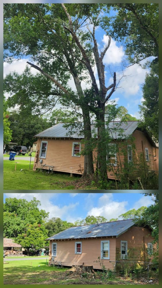 All Photos for Ken's Elite Cutters LLC  in Breaux Bridge, LA