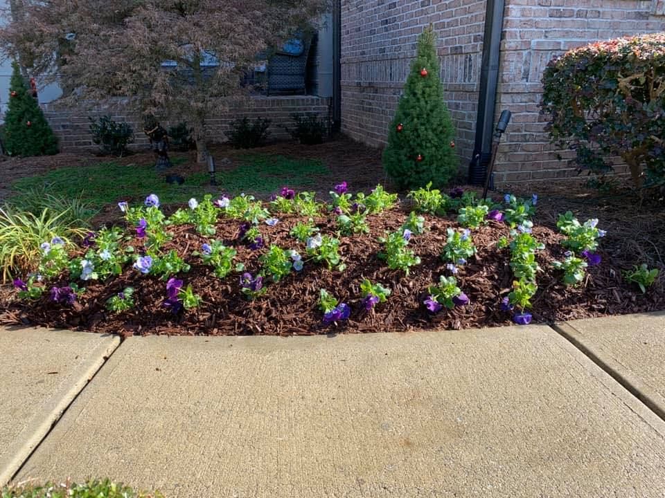 Enhance your garden's health and appearance with our Mulch Installation service, providing expert application for weed suppression, moisture retention, and improved soil fertility – creating a beautiful and thriving landscape for your home. for Bega Landscape Services in Atlanta, Georgia