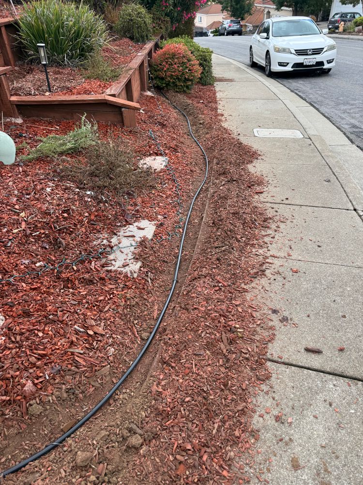 All Photos for CBA Landscaping in Hayward, CA