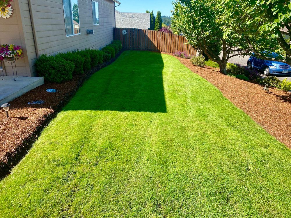 Revitalize your outdoor space with our Lawn Renewal service, expertly designed to restore lushness and health to your lawn, creating a vibrant green landscape you'll love coming home to. for Willamette Landscaping and Tree Services in Albany, OR