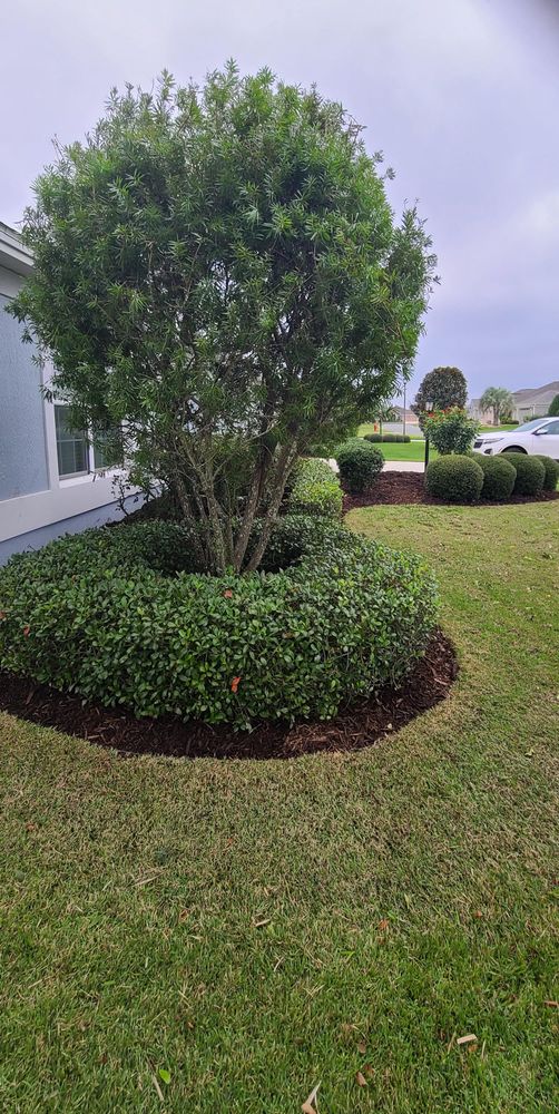 All Photos for TopNotch Landscaping Services  in The Villages, FL