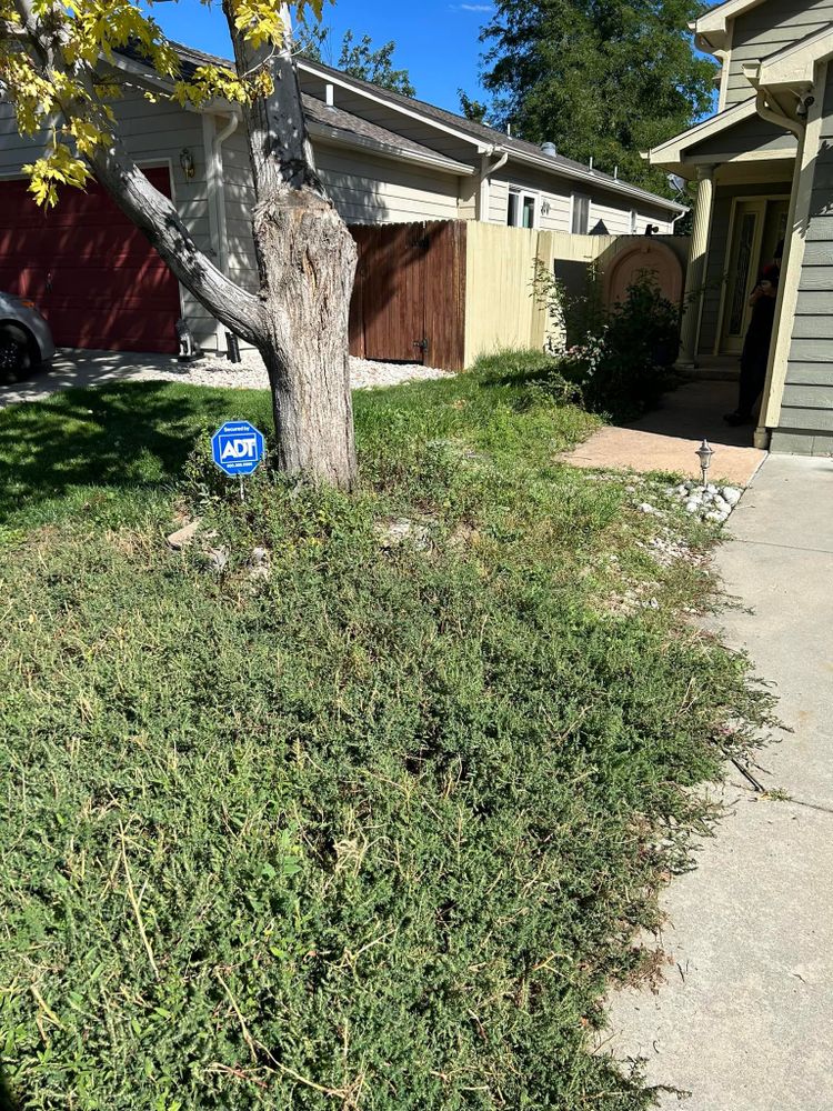 All Photos for Sam's Moving & Storage in Boston, MA