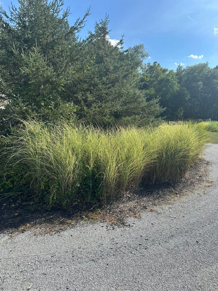 All Photos for OT Lawn and Landscaping LLC in Carey, OH