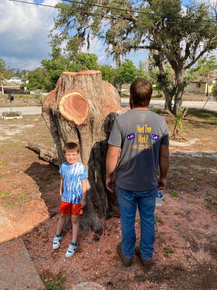 All Photos for Lemon Bay Tree Service  in Englewood, FL