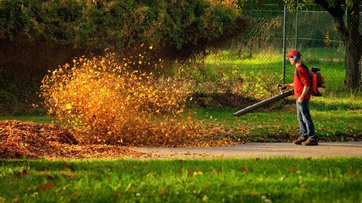 Our Fall Clean Up service ensures a pristine yard through leaf removal, debris cleanup, and plant care, preparing your landscape for winter while enhancing curb appeal and promoting healthy growth for spring. for HillyGoat Lawn Care in Provo, UT