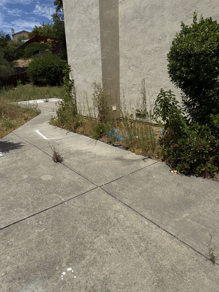 All Photos for CBA Landscaping in Hayward, CA