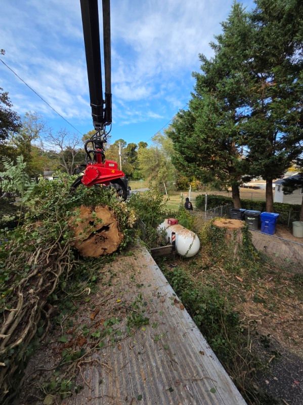 All Photos for Alexander's Tree Service  in Newburg,  MD