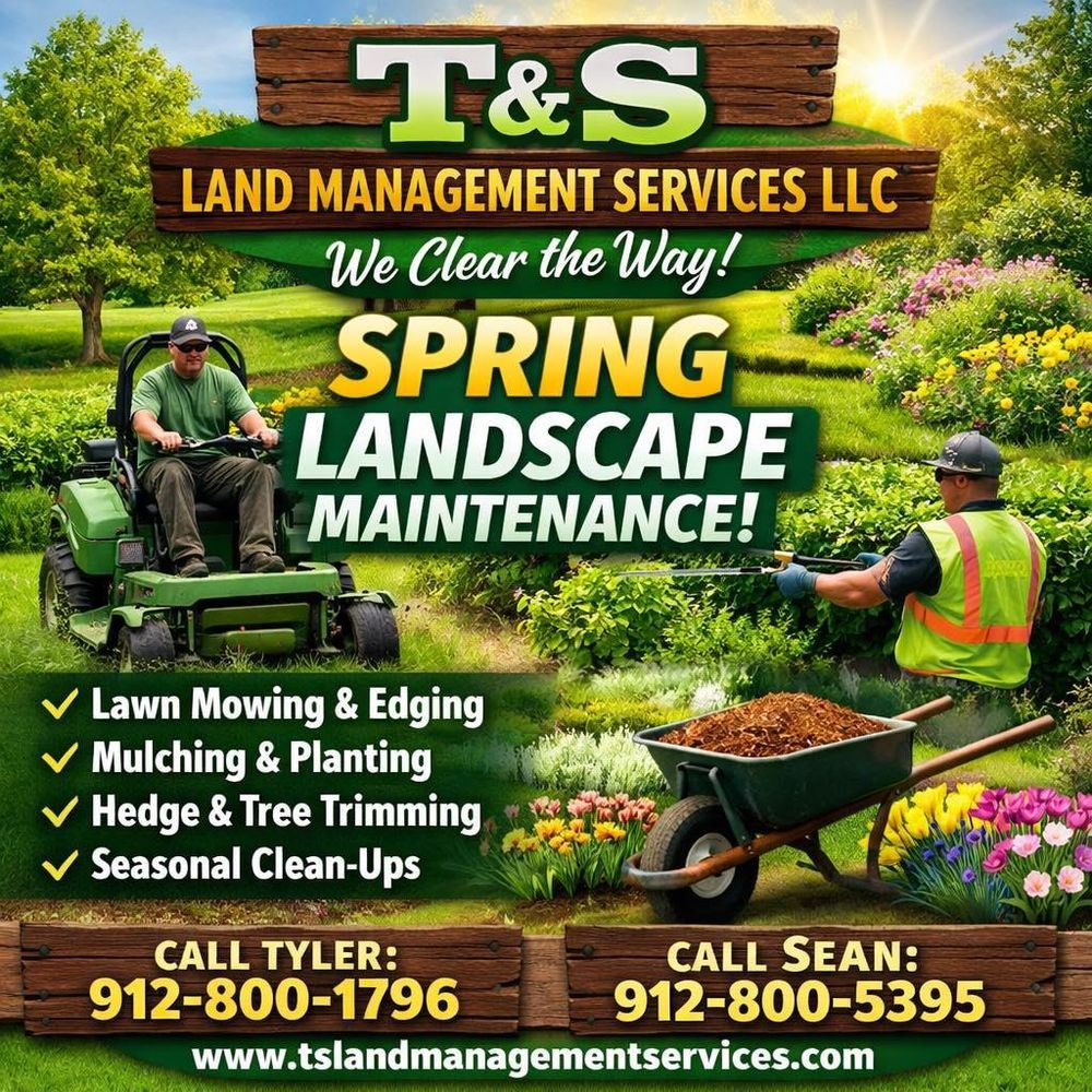 All Photos for T&S Land Management Services in Effingham County, GA