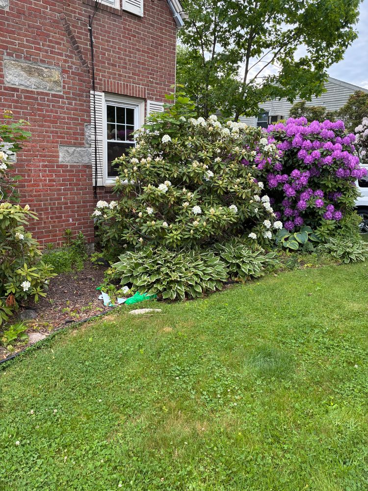 All Photos for JAD Excavating LLC in Goshen, CT