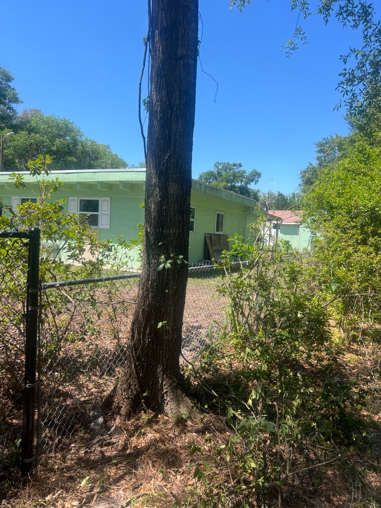 All Photos for Otter's Fence & Gate Repair Service in Palatka, FL