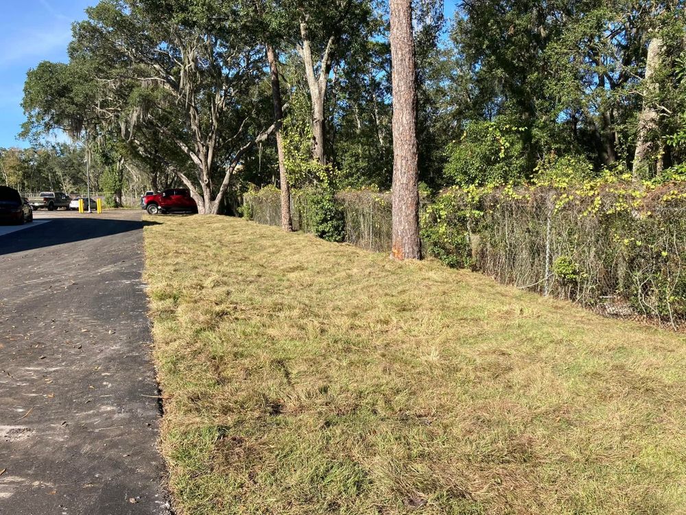 Transform your lawn with our professional sod service. We expertly prepare and install top-quality sod, ensuring a lush, green landscape that enhances the beauty and value of your home. for Parker Land Services in Lakeland, FL