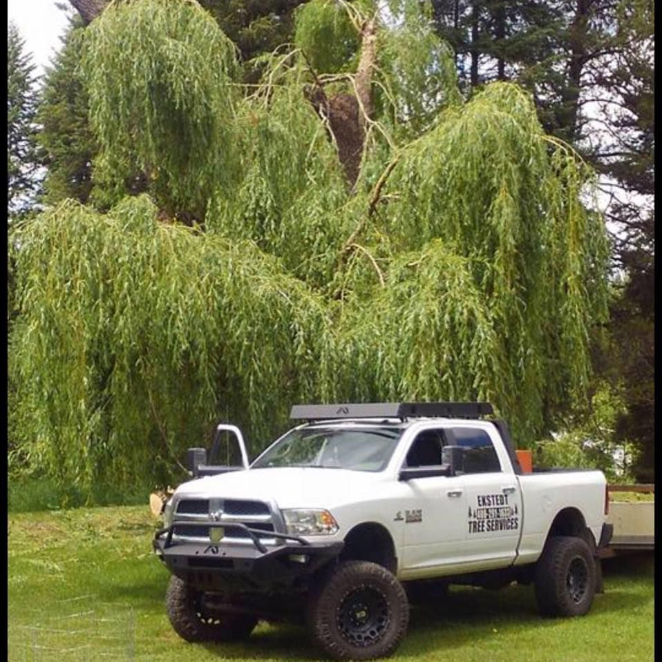 Our professional logging service offers safe, efficient tree removal to maintain your property's beauty and safety by expertly cutting down hazardous trees while minimizing disruption to your landscape. for Ekstedt Tree Services in Troy, MT
