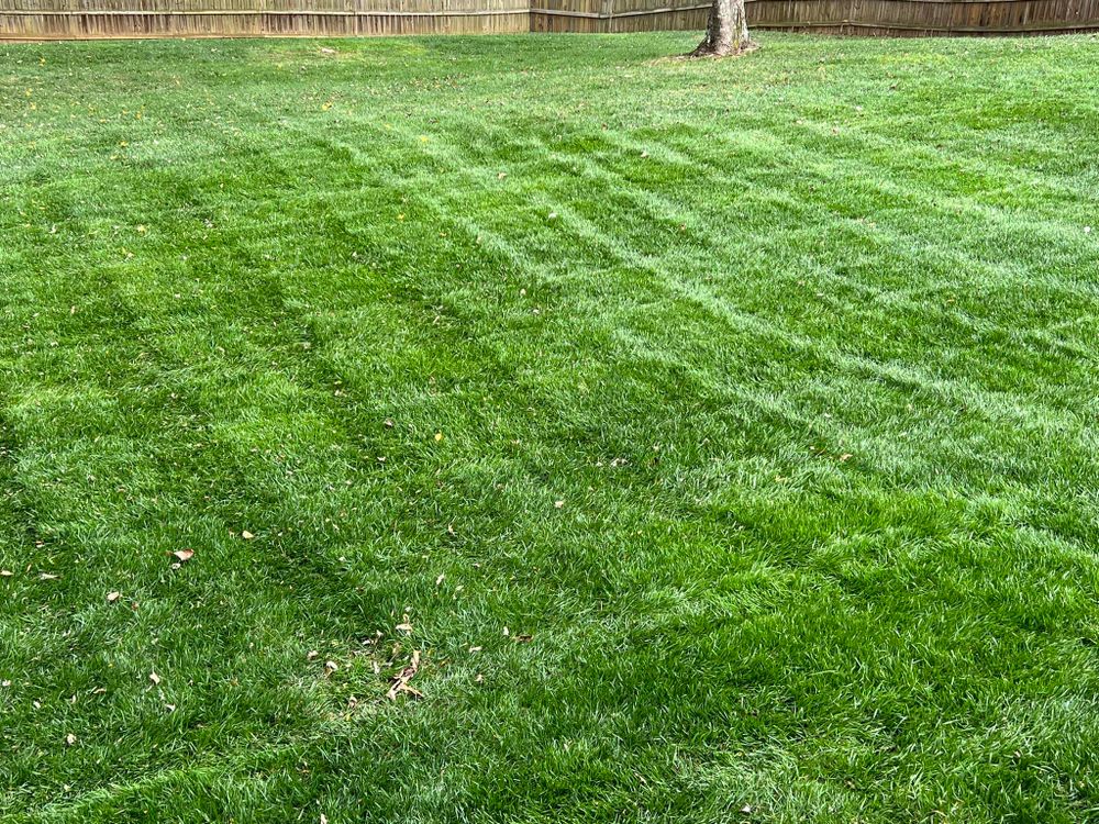 Lawn Care for Earth First Turf, LLC in Cherokee County, GA