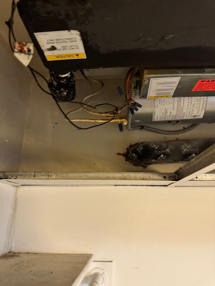 All Photos for College Grove Service Company in College Grove, TN