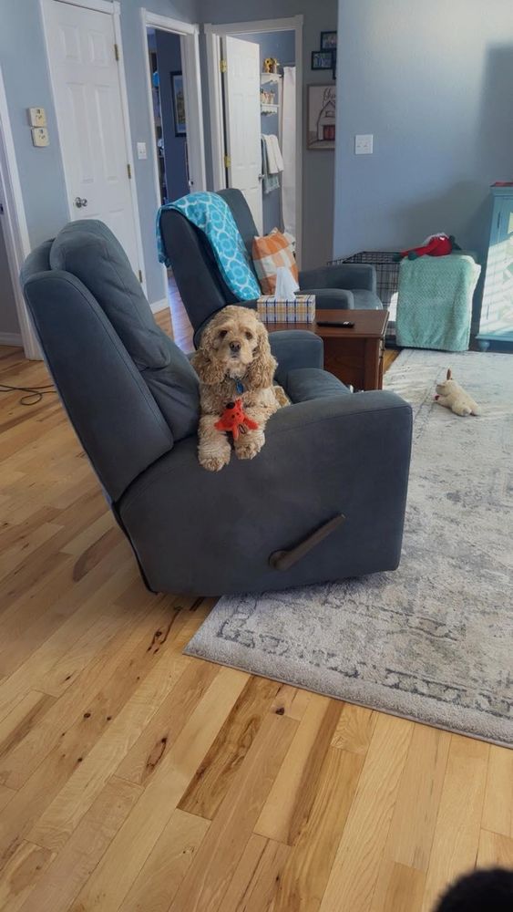 All Photos for 2 Girls & A Towel in Springfield, MO