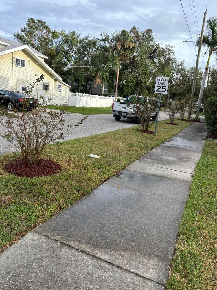 All Photos for MJK Landscaping LLC in Wesley Chapel, FL