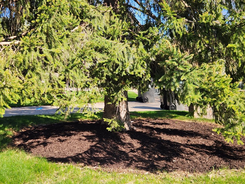 All Photos for K & I Lawn Care Service  in Eden Prarie, MN