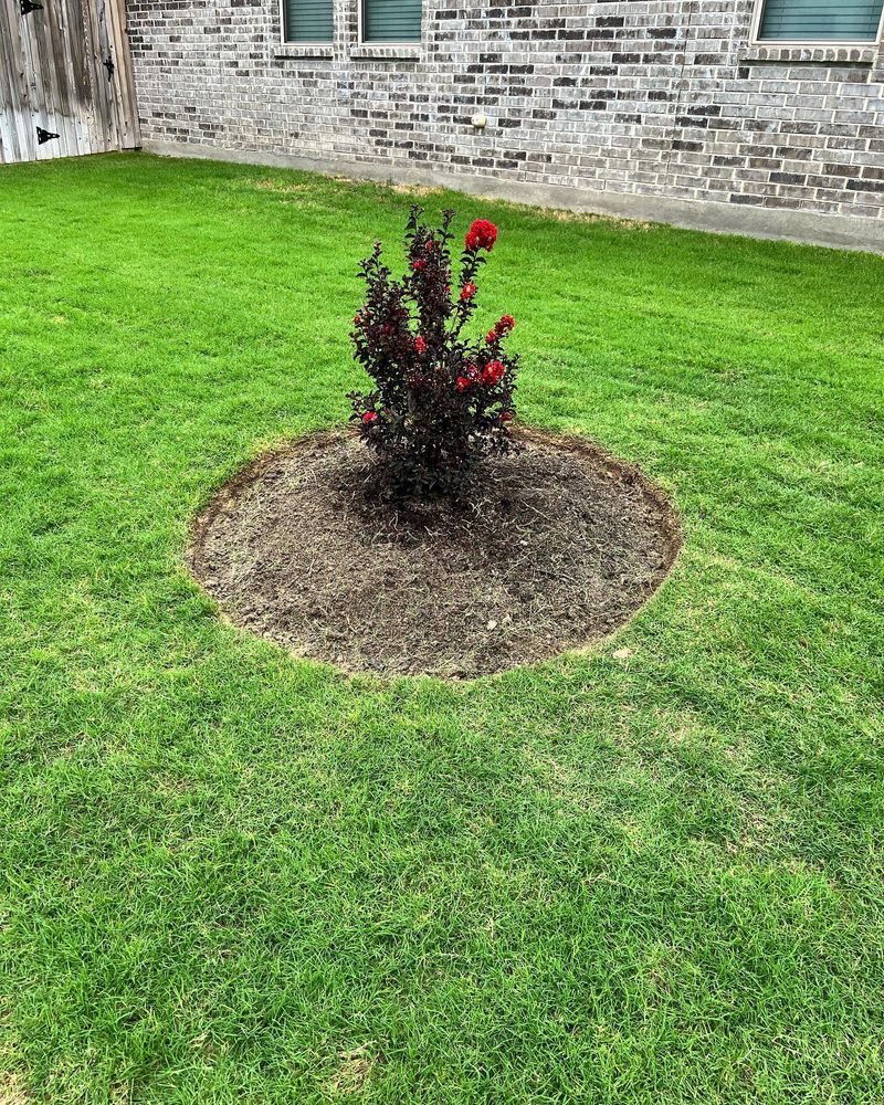 Landscaping for CS LawnCare  in San Antonio,  TX