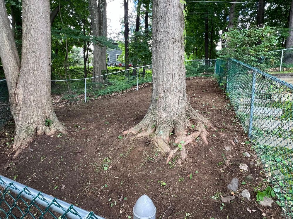 Our fall and spring clean up service refreshes your property by removing leaves, debris, and winter buildup, leaving your landscape neat, healthy, and ready for the season ahead. for HVQ Landscaping in Albany,  NY