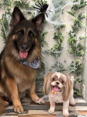Tails By The Lake Grooming team in Branson West, MO - people or person
