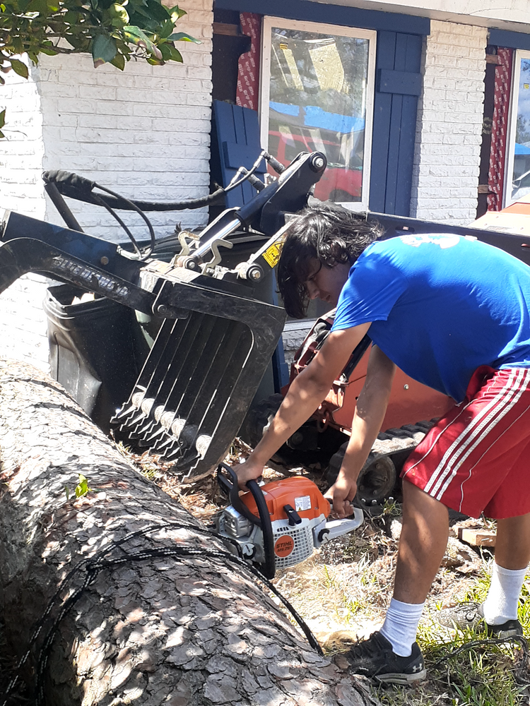 All Photos for Professional Tree Service USA in Chattanooga, TN