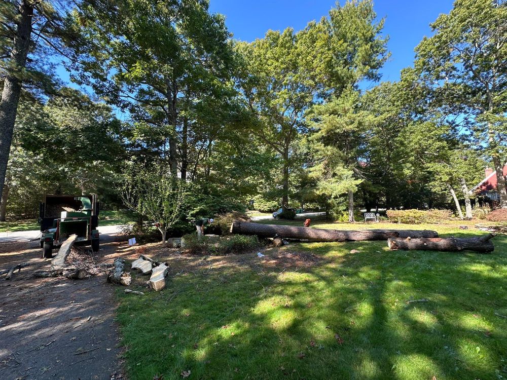 All Photos for Silver City Tree and Landscape in Taunton, MA