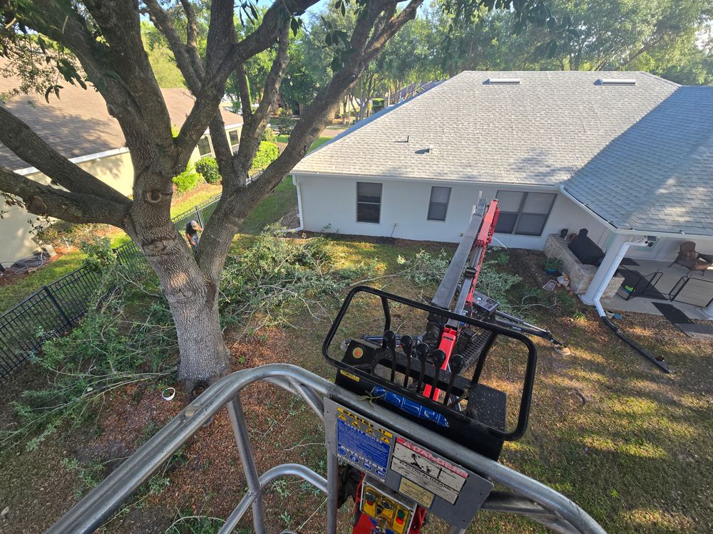 All Photos for Near Me Tree Service, Inc. in DeLand, FL