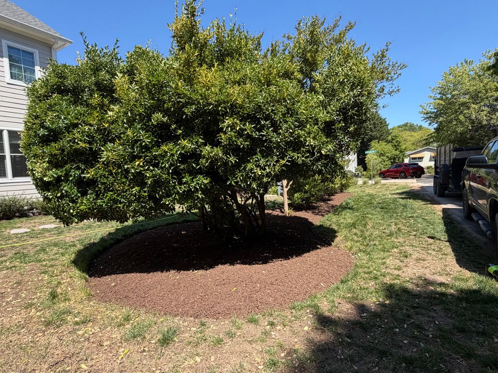 All Photos for Lawn pro services in Georgetown, DE