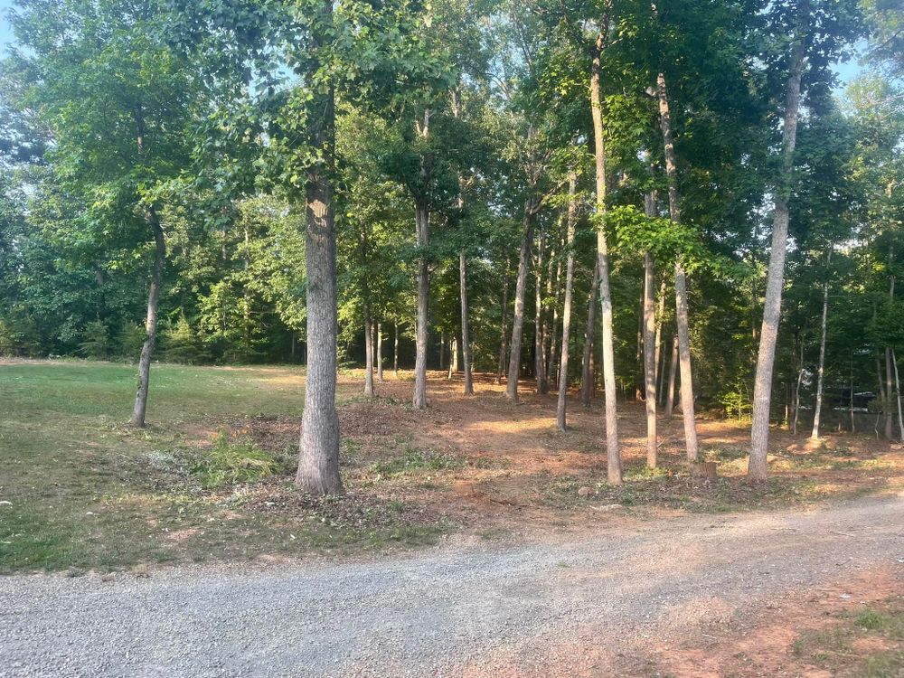 Our Forestry Mulching service efficiently clears overgrown land, turning unwanted vegetation into beneficial mulch. Ideal for site preparation and enhancing property aesthetics, this eco-friendly solution preserves topsoil and supports healthy regrowth. for Cedar Point Land Management in Richmond, VA