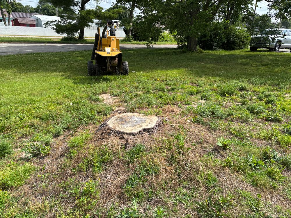 All Photos for Conrad's Stump Removal in Columbus, IN