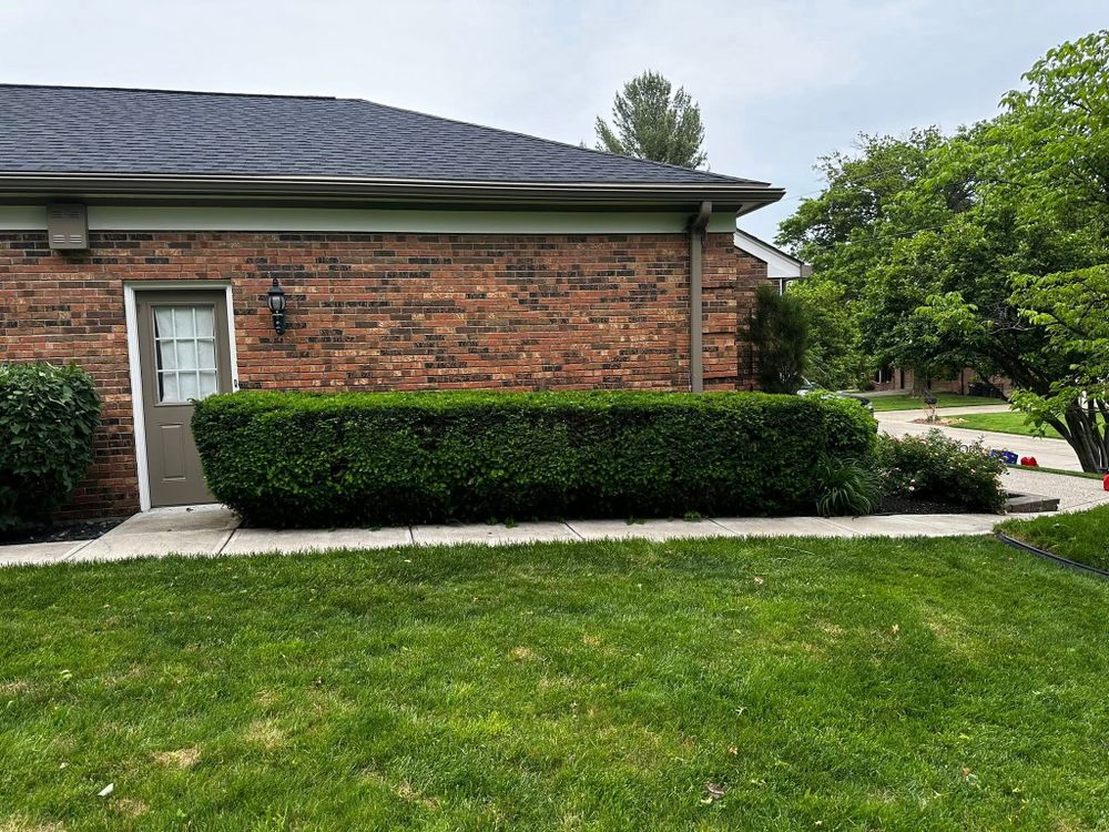 Enhance your home's landscape with our expert Tree & Shrub Care services, ensuring healthy growth, vibrant foliage, and disease prevention for a flourishing outdoor space year-round. Trust us to nurture your greenery. for A&H Property Solutions LLC in Florence, KY