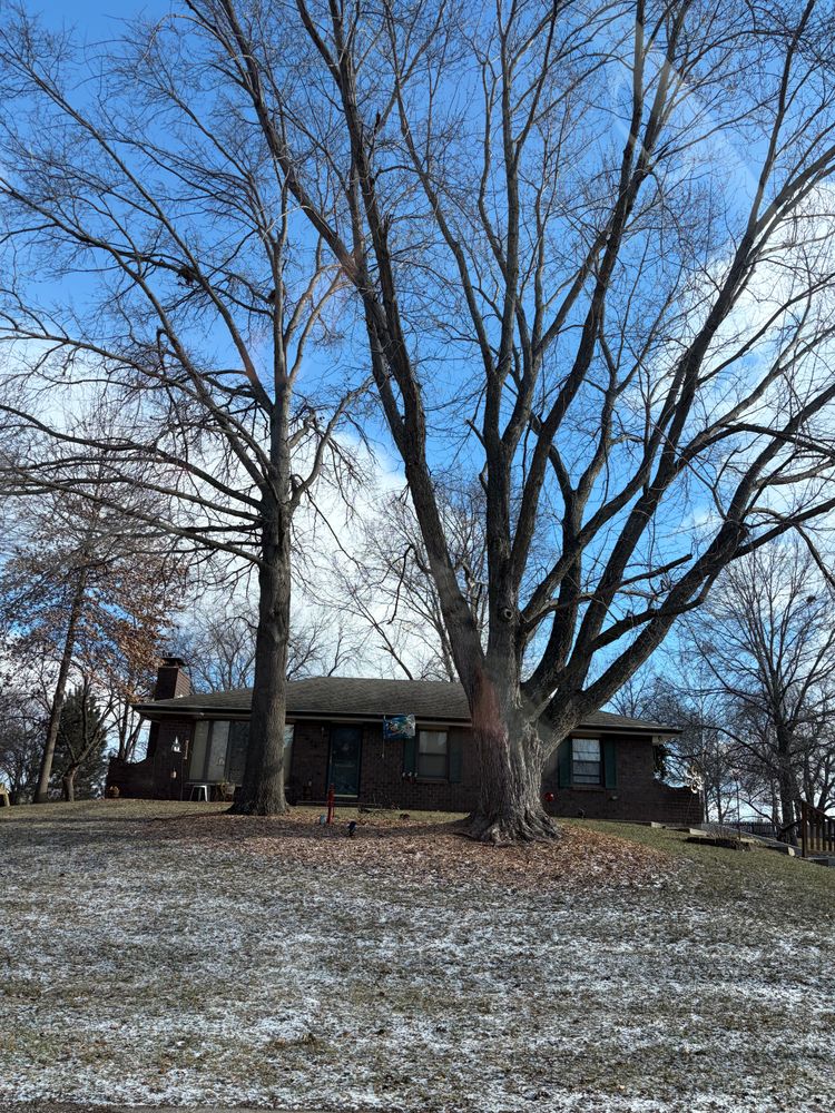 All Photos for Cross Family Tree Service in Kearney, MO