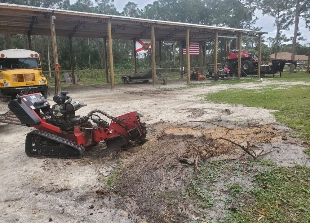 Tree Removal for Regal Tree Service and Stump Grinding in Wauchula, FL