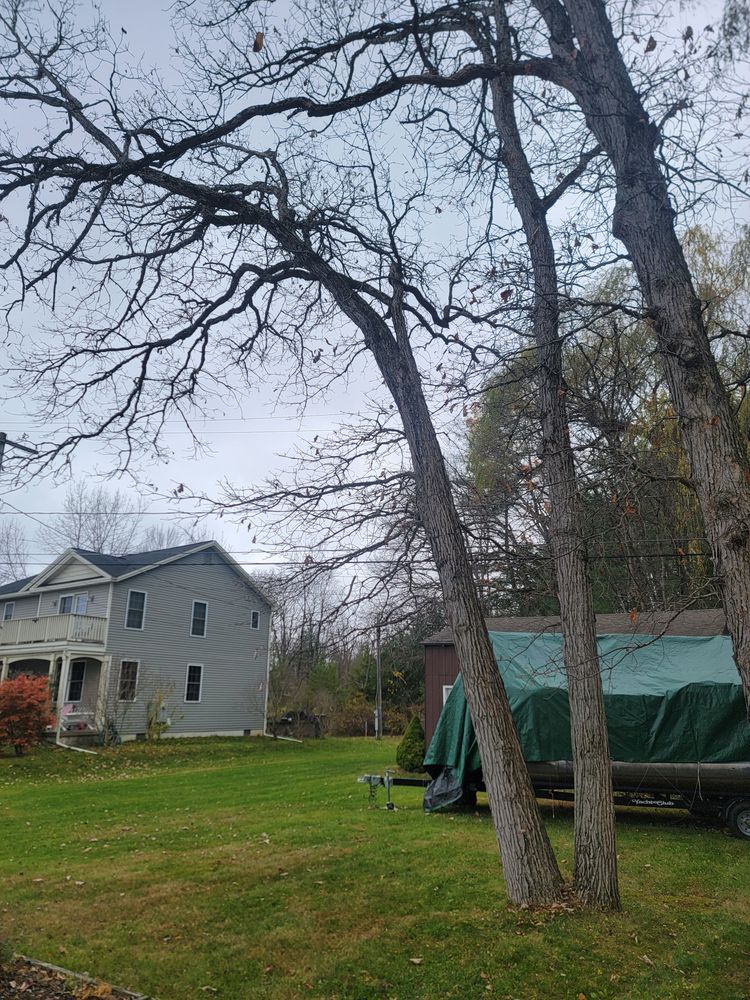 All Photos for Sweet Scapes in Ballston Spa, NY