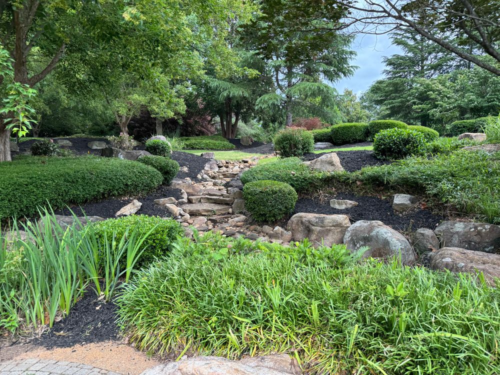 Our Brush Trimming service expertly tidies overgrown areas, enhancing your landscape's appearance and health. We ensure precise trimming for clean lines, promoting growth while maintaining the beauty and safety of your property. for Tri-P Services in Athens, GA