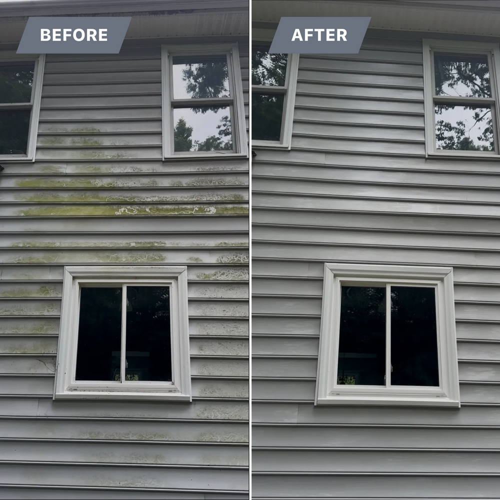 All Photos for LeafTide Solutions in Richmond, VA