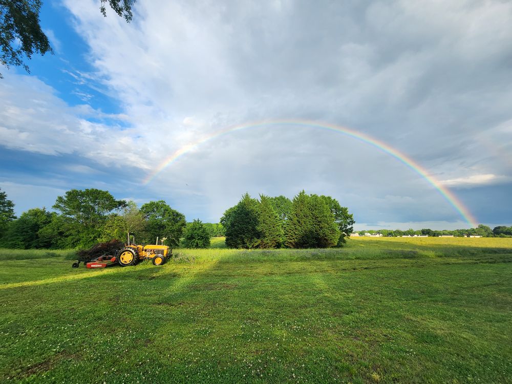 All Photos for Owens Tree Services in Inman, SC