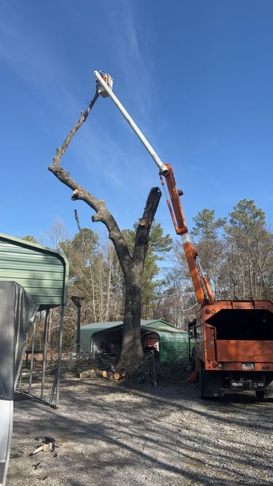 All Photos for Curtis Tree Service LLC in Hopkins County, KY
