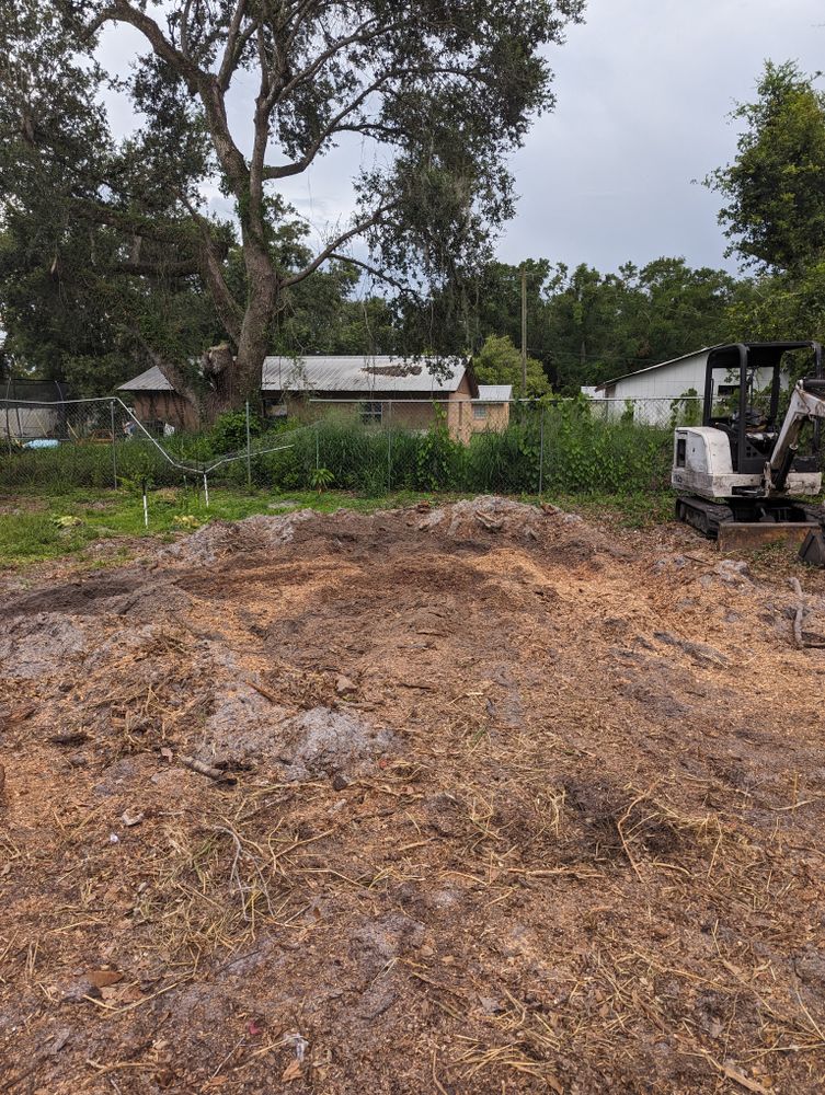 All Photos for Regal Tree Service and Stump Grinding in Wauchula, FL