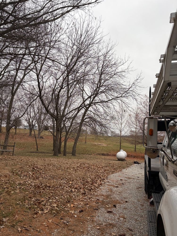 All Photos for Cross Family Tree Service in Kearney, MO