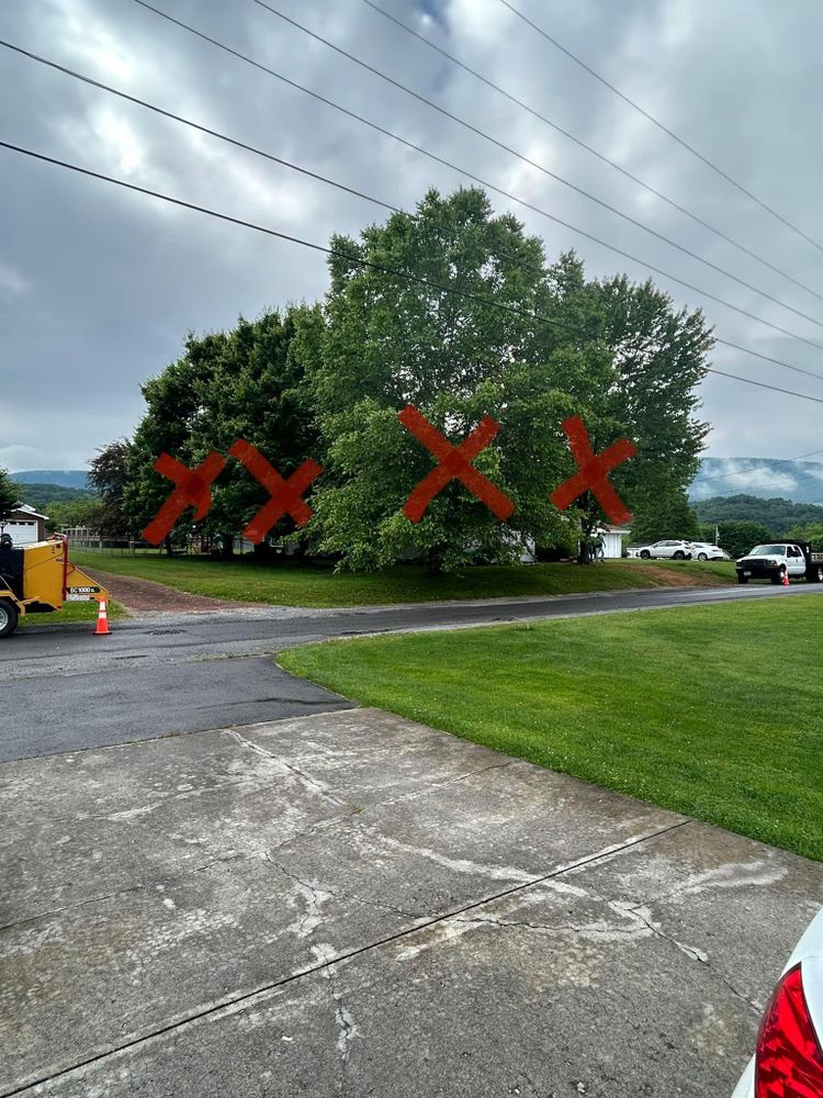 All Photos for NRV Tree Pro, LLC in Narrows, VA